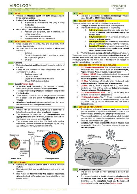Virology Final Exams