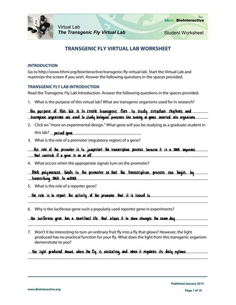 Virtual Fly Lab Answer Key
