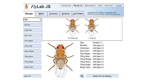 Virtual Fly Lab Answers