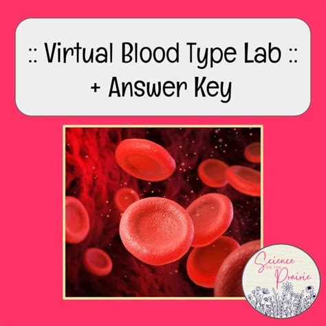 Virtual Lab Blood Typing Answer Key