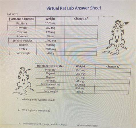 virtual rat endocrine lab answers