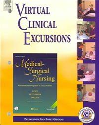 Read Online Virtual Clinical Excursions Sixth Edition 