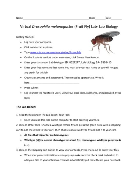 Full Download Virtual Lab Breeding Mutation Fruit Flies Answers 