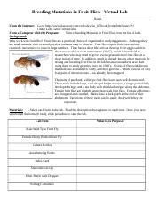 Full Download Virtual Lab Breeding Mutation Fruit Flies Answers 