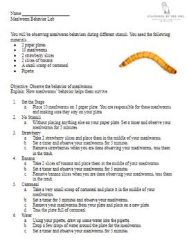 Full Download Virtual Lab Mealworm Behavior Answers 