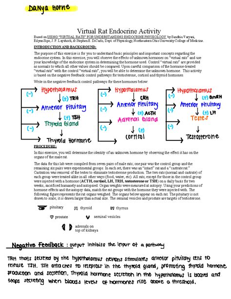 Read Online Virtual Rat Endocrine Activity Answers 