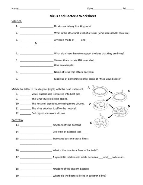 Virus And Bacteria Worksheet Key 2nd Grade Worksheet Virus - 2nd Grade Worksheet Virus