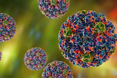 Full Download Virus Del Papiloma Humano Immunize 