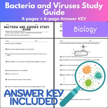 Viruses And Bacteria Study Guide