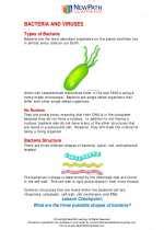 Read Online Viruses And Bacteria Guided Study Answers 