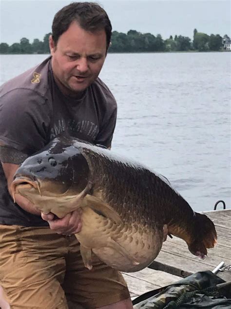 vis engelse betekenis