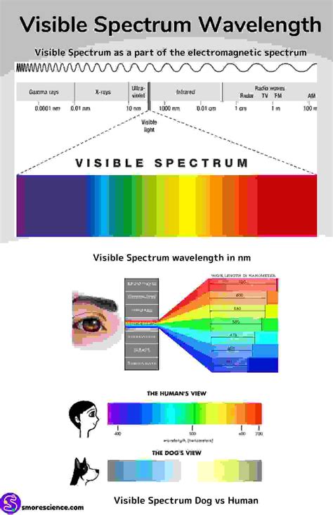 visible light wavelength