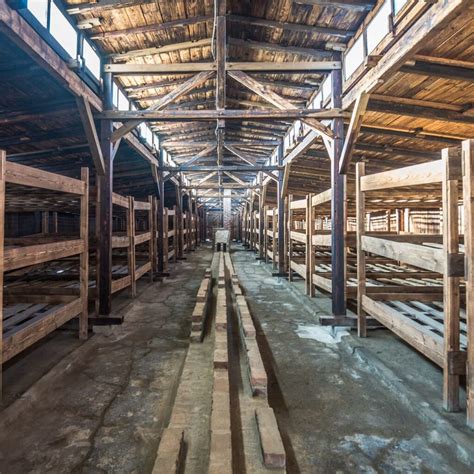 Visitare Auschwitz