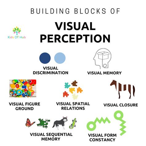 visual perception terms