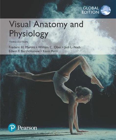 Download Visual Anatomy And Physiology Martini Study Guide 