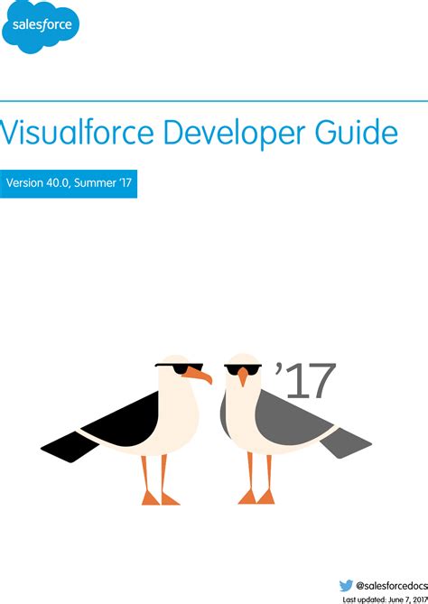 Full Download Visual Force Developer Guide 