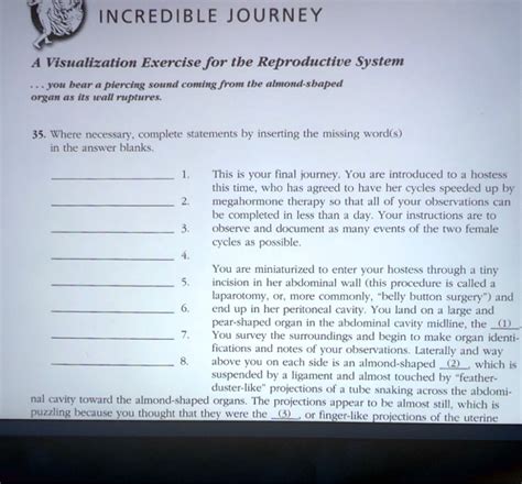 Visualization Exercise For The Reproductive System Answers