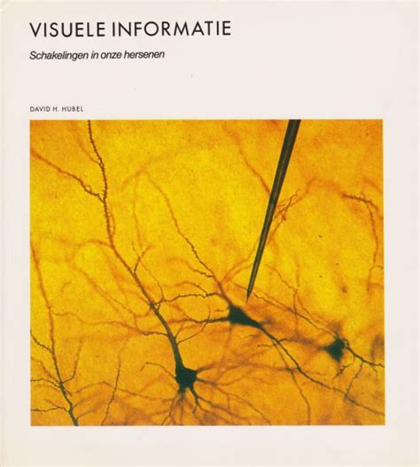 visuele informatie verwerking