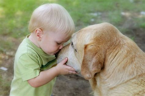 Read Vita Da Cani Guida Alla Felicit Di Animali E Bambini 
