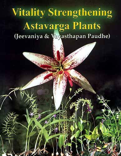 Read Online Vitality Strengthening Astavarga Plants Jeevaniya And Vayasthapan Paudhe 