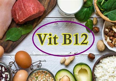 vitamin b12 apa saja