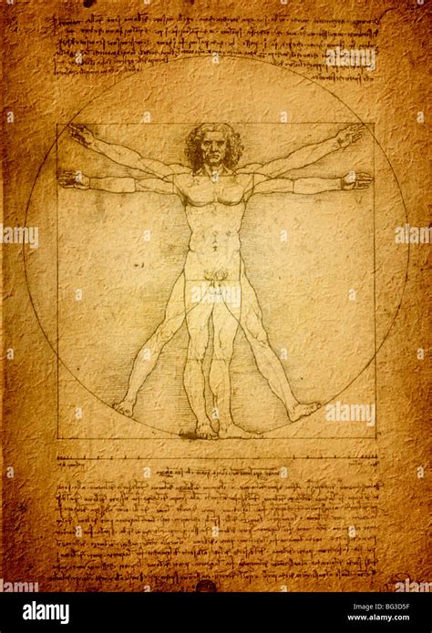 Vitruvian Man Interpretation