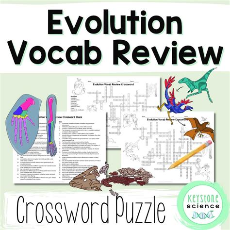 vocabulary review evolution