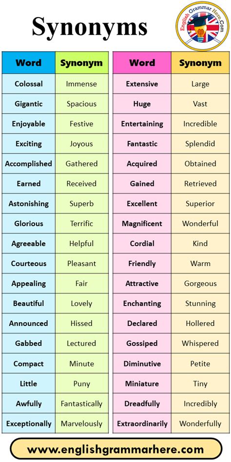 Vocabulary Synonym