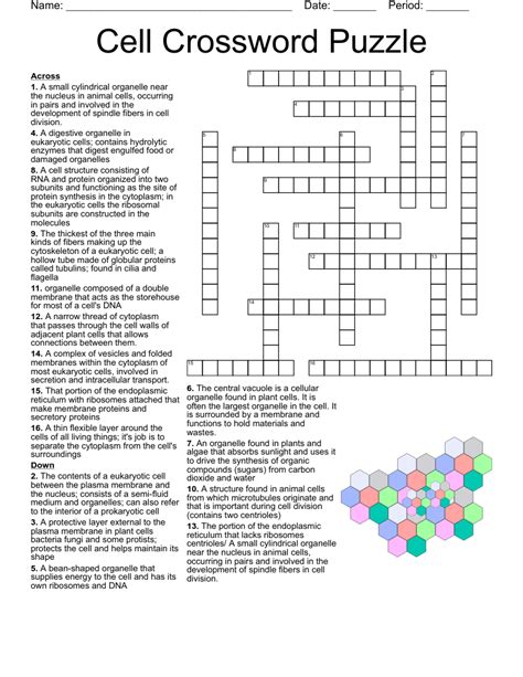 Read Online Vocabulary Skills Cell Crossword Puzzle Key 