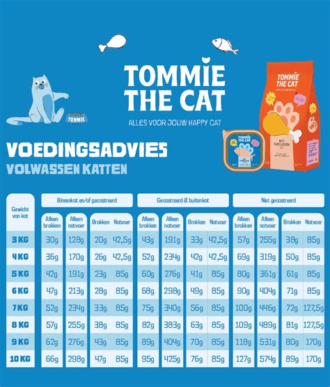 voedingsadvies kat