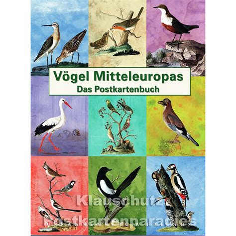Vogel Mitteleuropas
