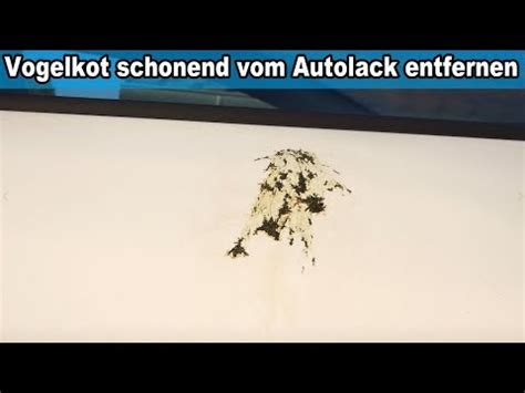 vogelkot eingebrannt