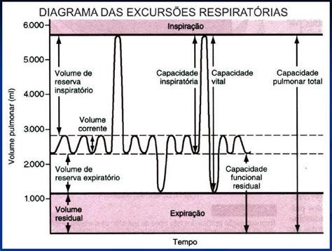 Volume E Capacidade Pulmonar