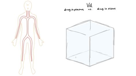 Volume Of Distribution Graph Usmle