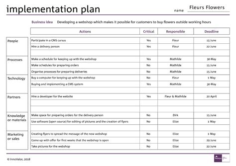voorbeeld project plan implementatie software