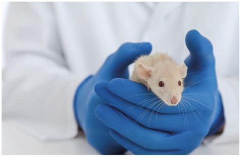 voordelen van dierproeven