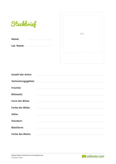 Vorlage Für Steckbrief