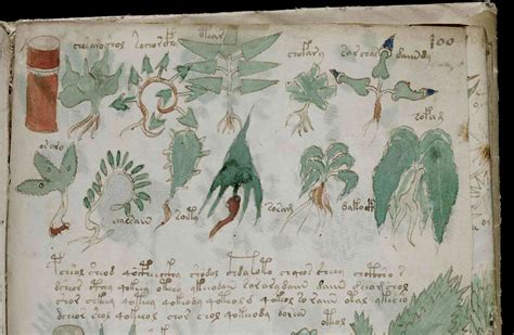 Voynich Manuscript