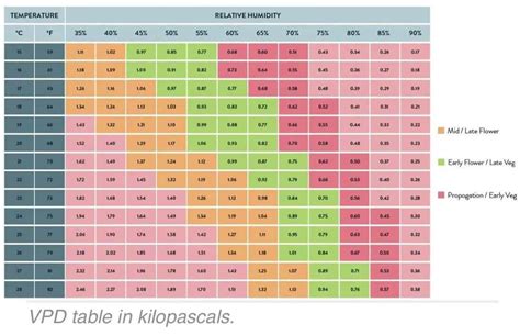 premier bet: Apostas Desportivas Online com Garantia de Segurança Financeira para Todos os Jogadores - Foto 2