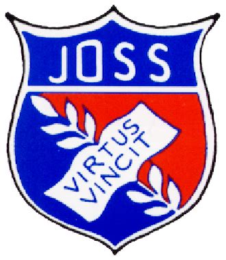 verde: Apostas Desportivas Online com Garantia de Segurança Financeira para Todos os Jogadores - Foto 2