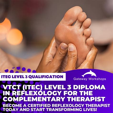 Read Online Vtct Exam Papers Reflexology 