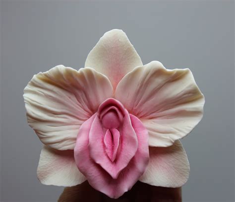 Vulva Looking Flowers A Feminine Exploration In Nature Flowers That Look Like Vulva - Flowers That Look Like Vulva