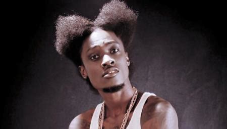 vybrant faya biography definition