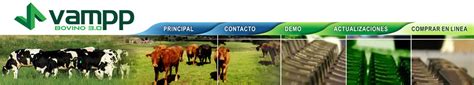 5 bet: Apostas Desportivas Online com Garantia de Segurança Financeira para Todos os Jogadores - Foto 2