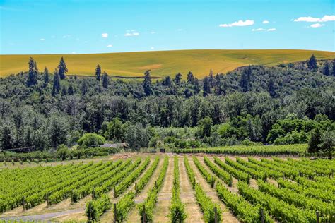 walla walla washington