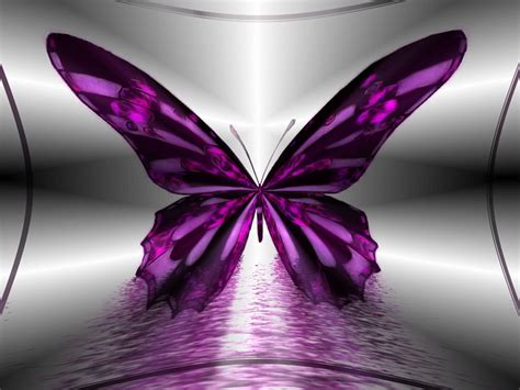 wallpaper kupu kupu ungu