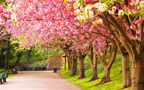 Wallpapers For Spring   60 000 Best Spring Backgrounds Amp Images Hd - Wallpapers For Spring
