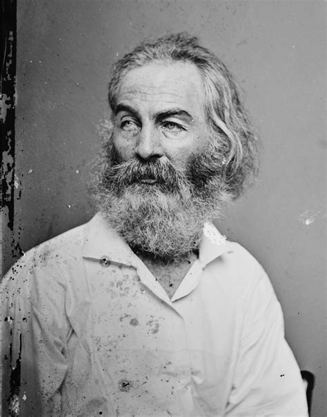 Walt Whitman Civil War Papers Surface A Few Civil War Journal Entry - Civil War Journal Entry