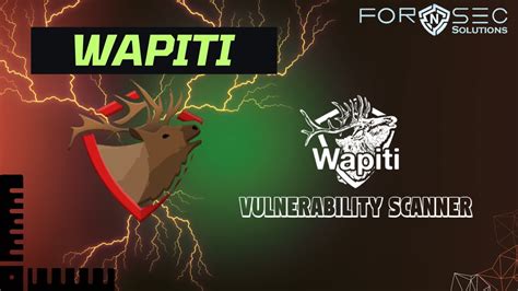 Wapiti Scanner