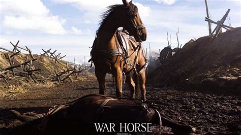 War Of Horse